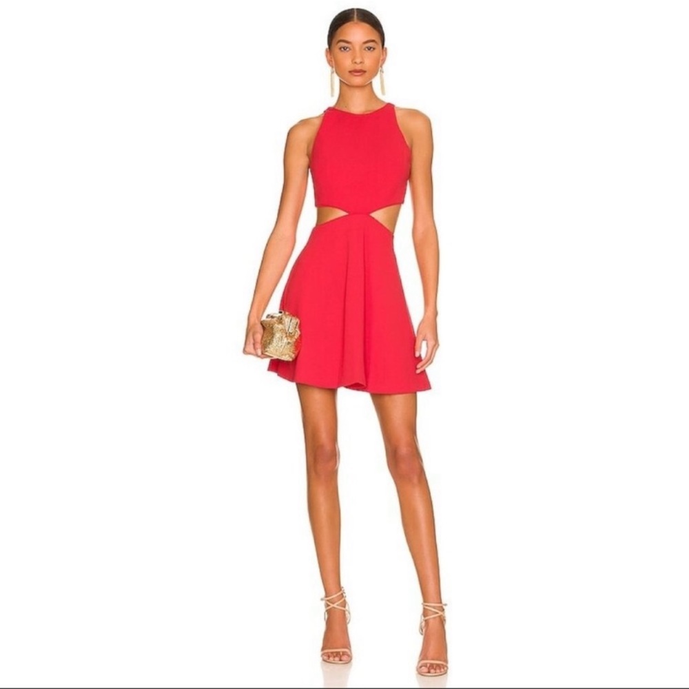 Alice + Olivia Cara Fit Flare Dress in Bright Poppy Size 4